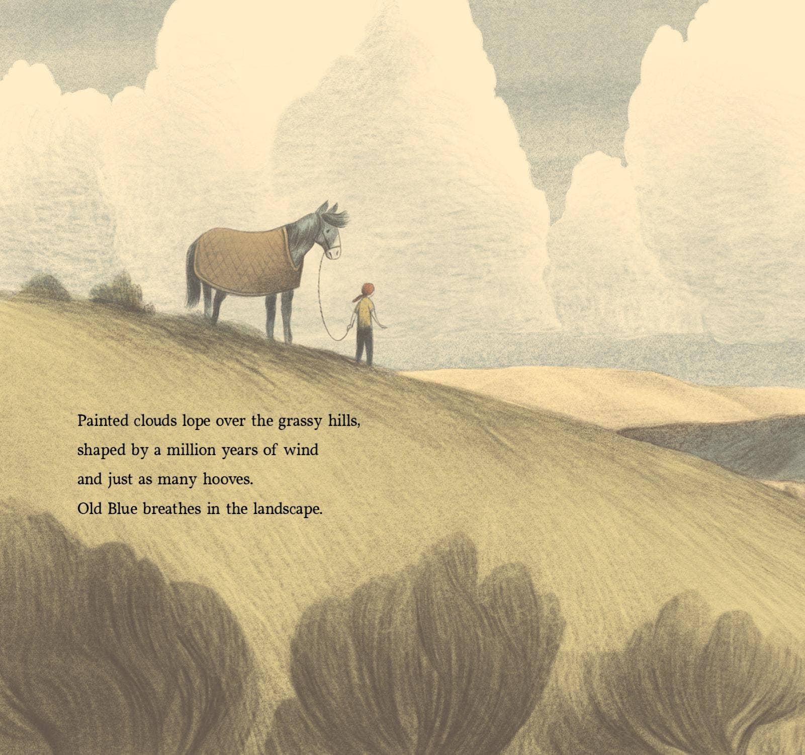 Brave Old Blue Picture Book