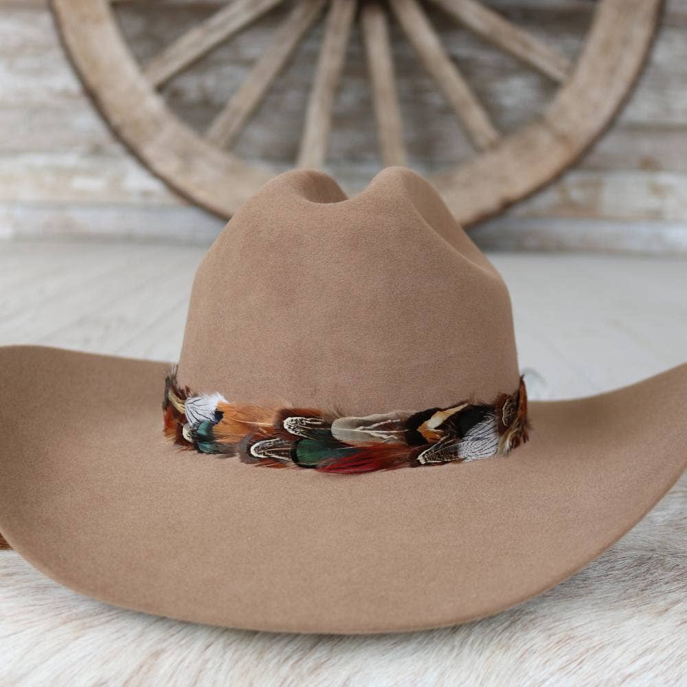 Vistoso Western Feather Hat Band
