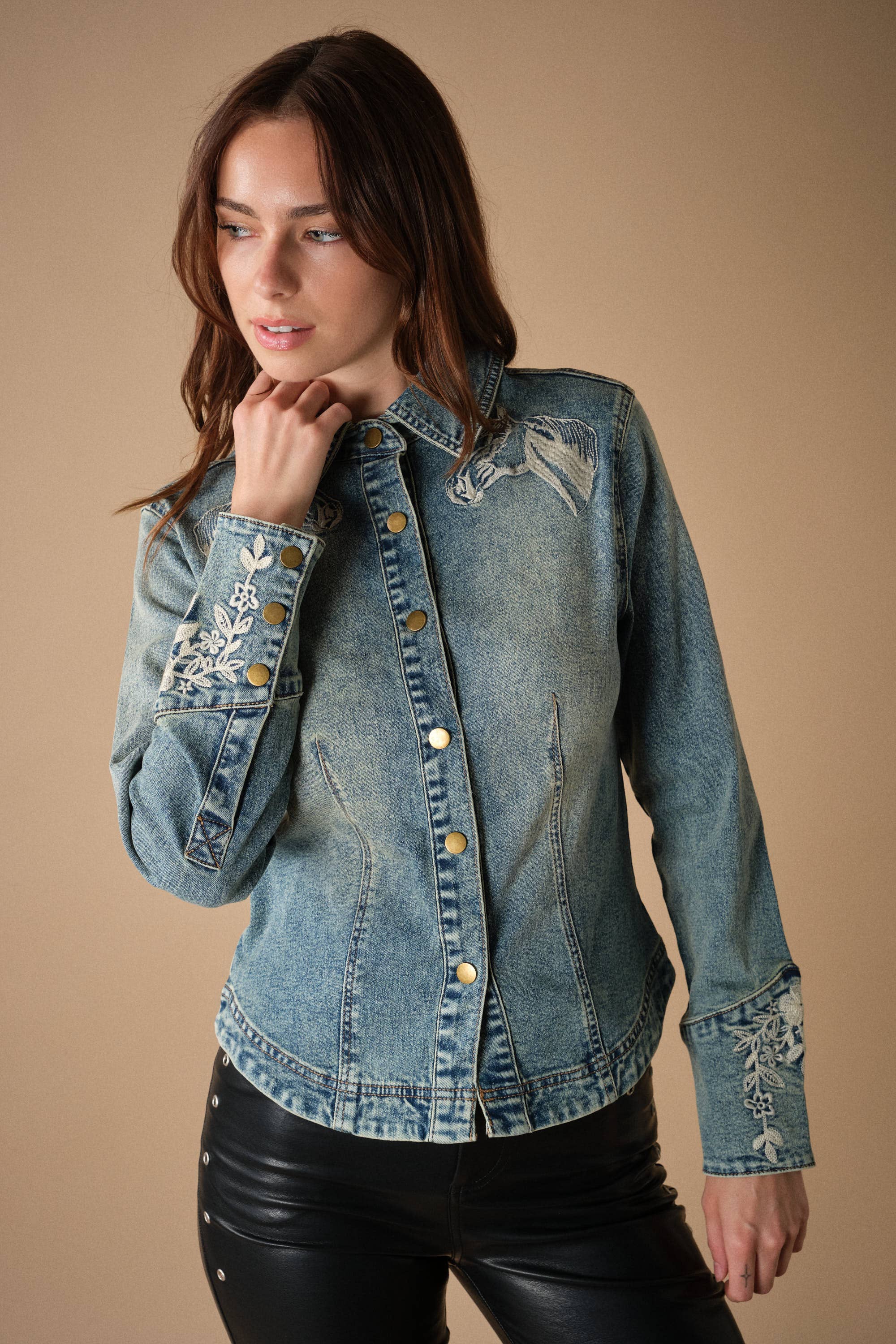 The High Country Embroidered Denim Shirt