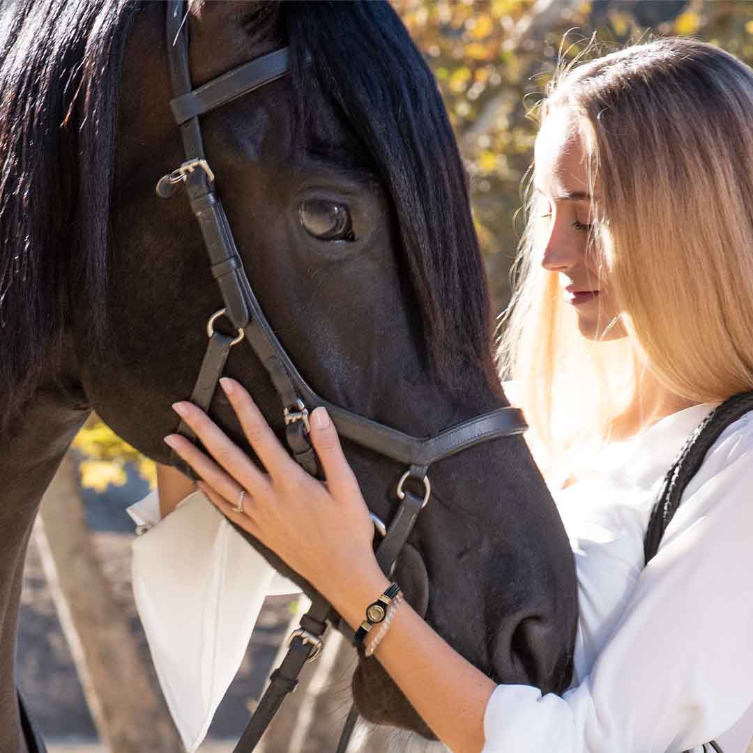 Colton Horseshoe Dome Lock Braided Bracelet, Silver