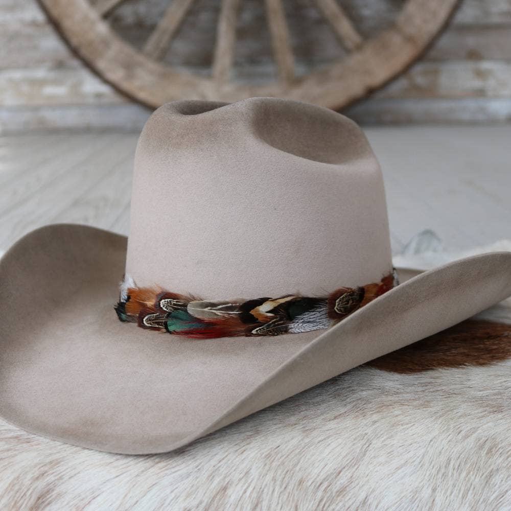 Vistoso Western Feather Hat Band