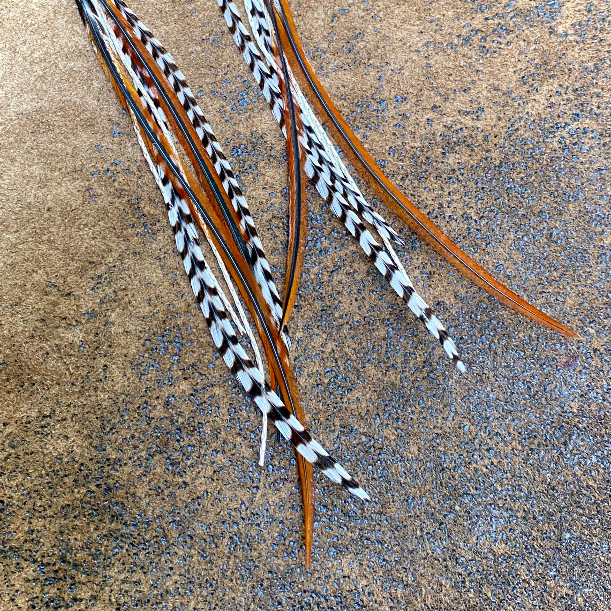 Turquoise & Mini Feather Earrings - Grizzly & Fawn/Silver: Grizzly & Fawn / Silver