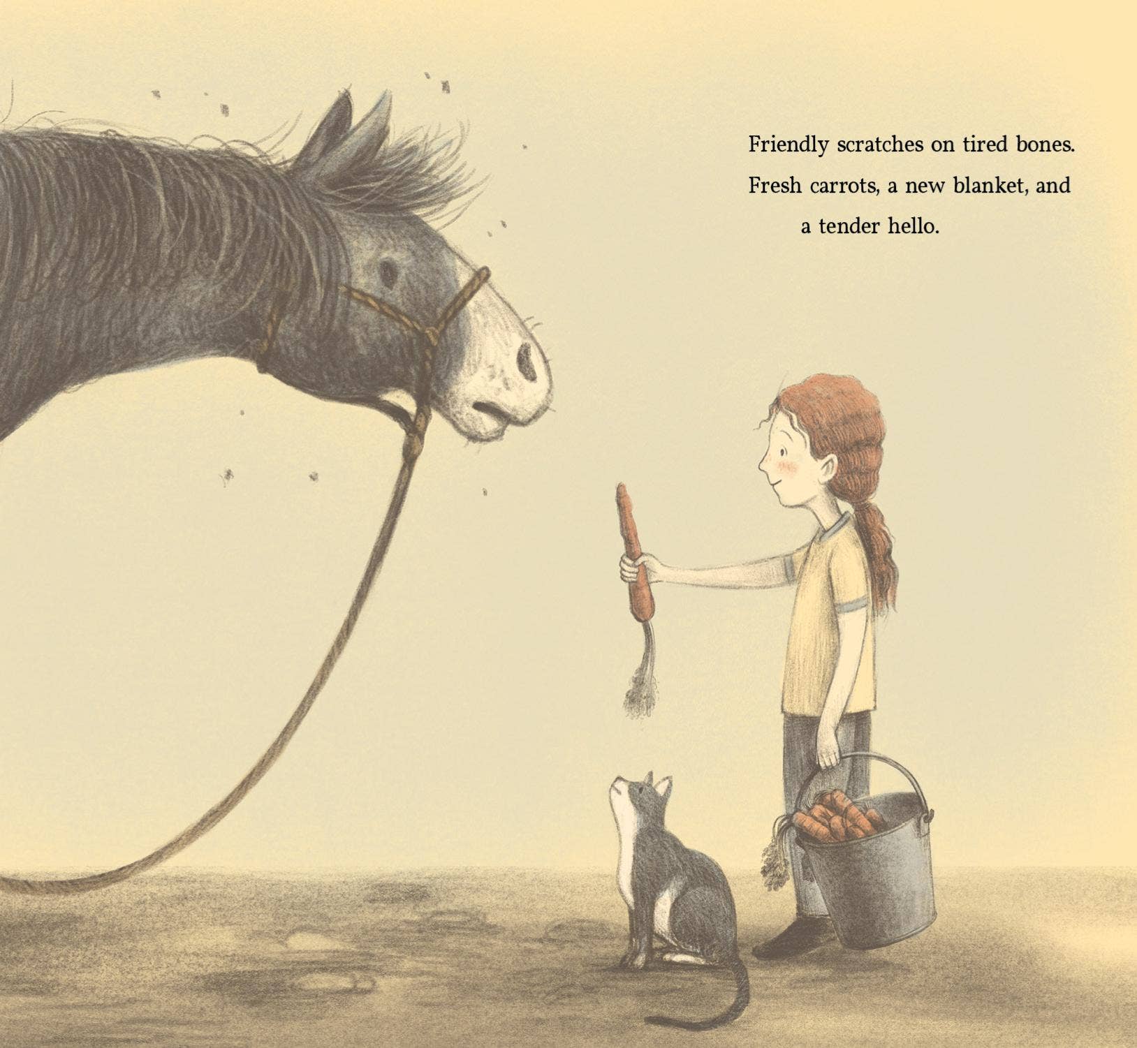 Brave Old Blue Picture Book