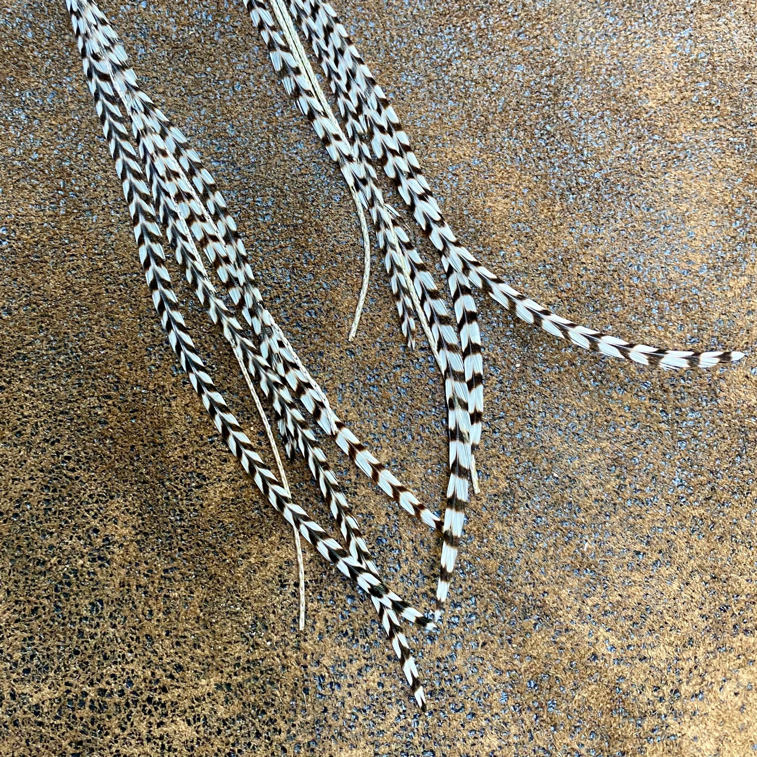 Turquoise & Mini Feather Earrings - Grizzly/Silver, Western: Grizzly / Silver