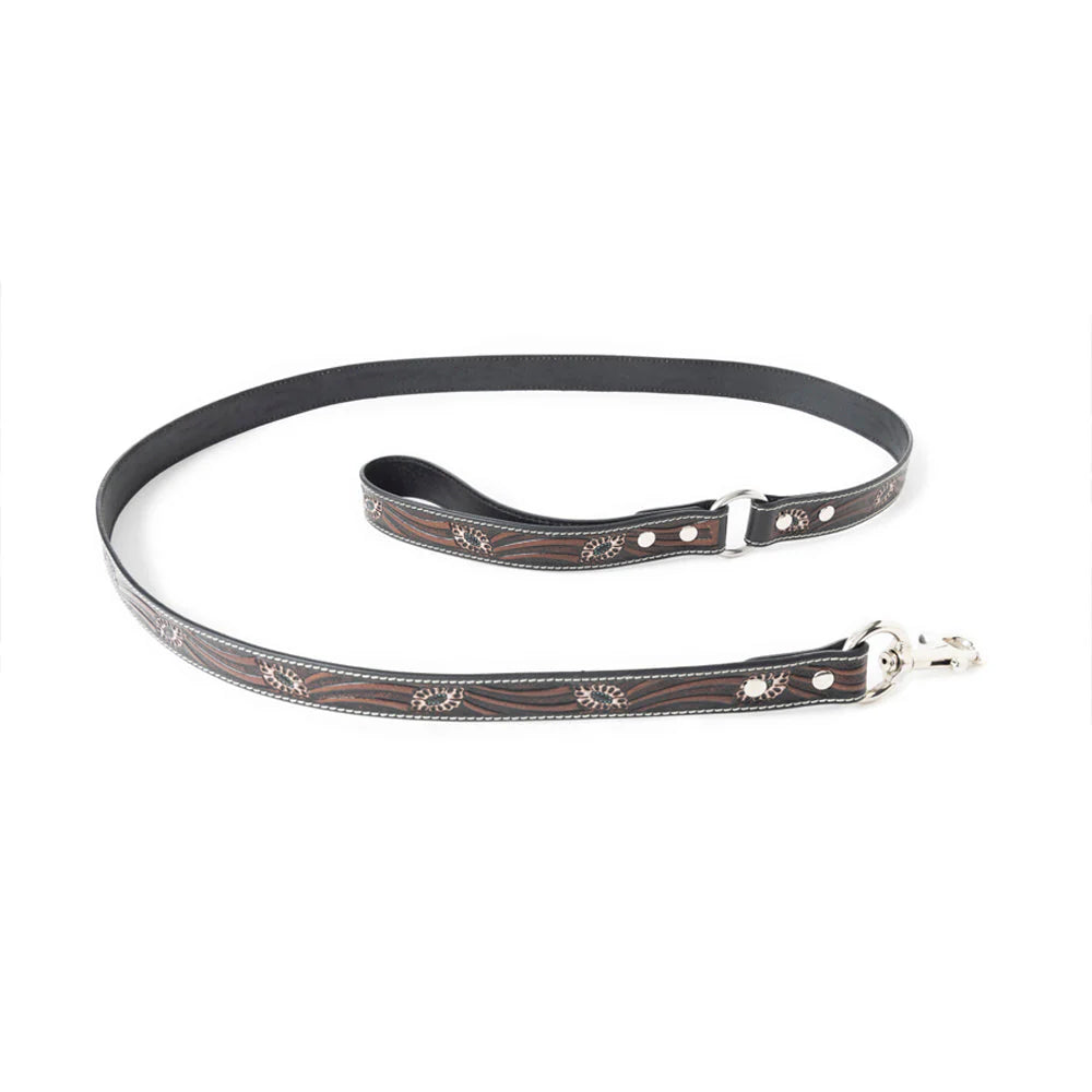 Luna Beam Dog Leash, Dark Brown