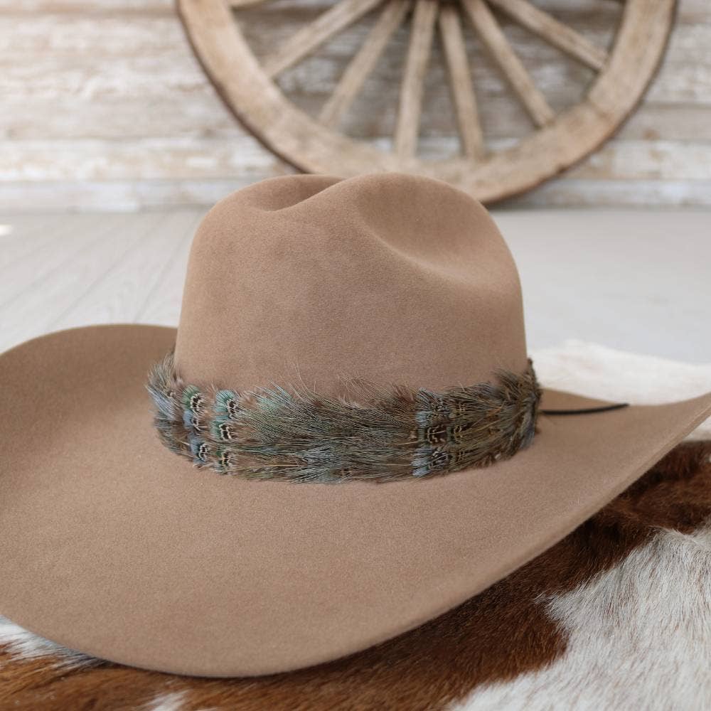 Dove II Western Feather Hat Band