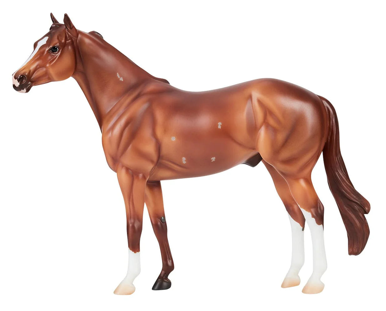 Apollitical Jess American Quarter Horse Sprinter