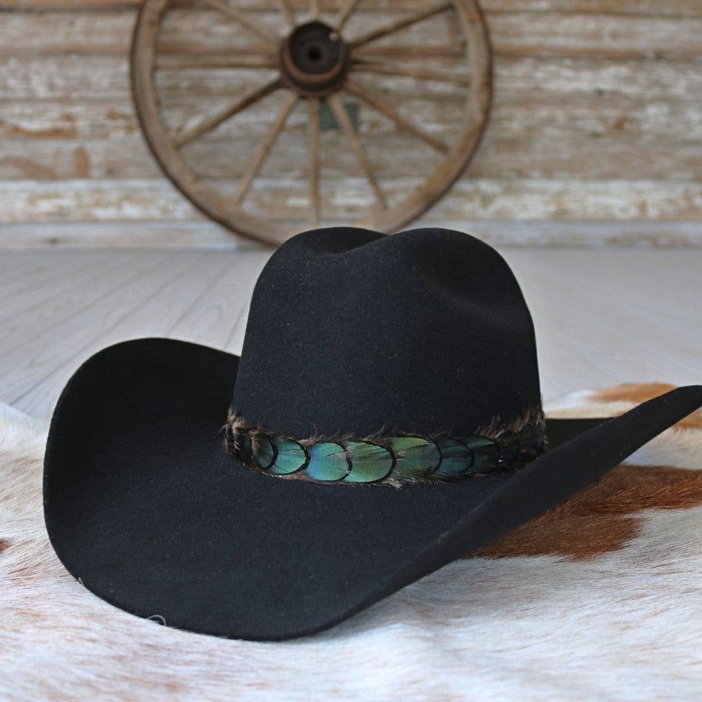 Emerald Outlaw Band