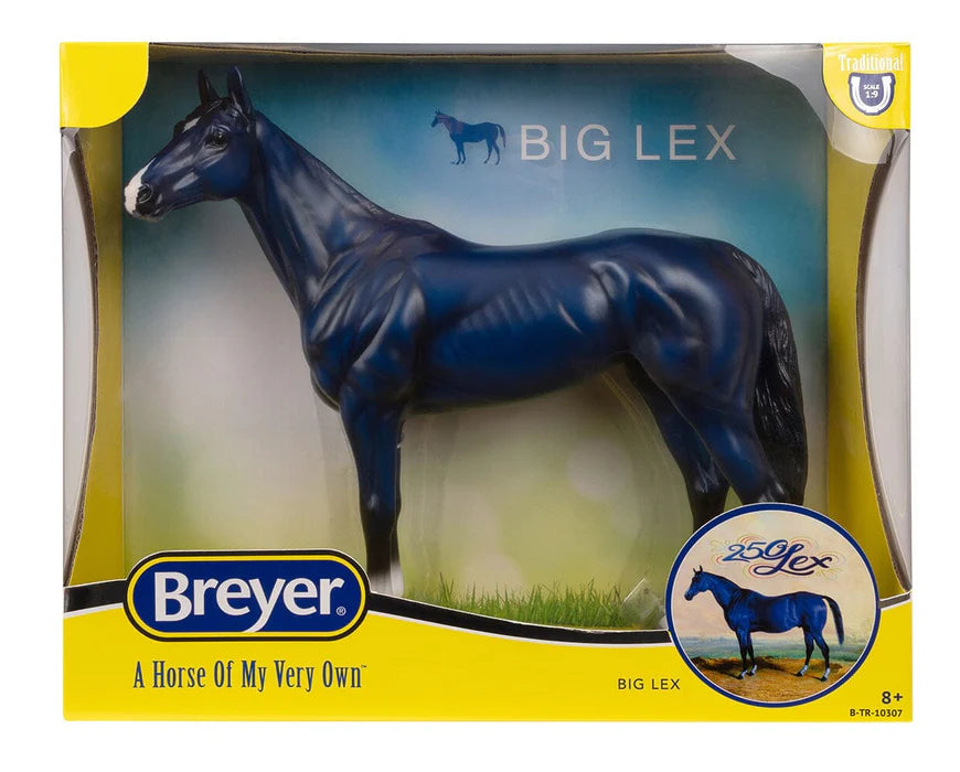 Big Lex | Decorator Thoroughbred