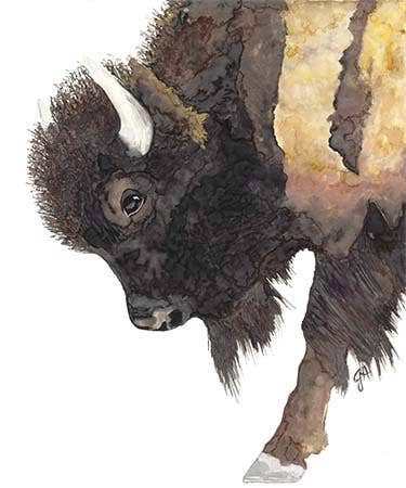 Buffalo Bill Tea Towel