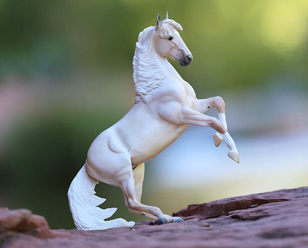 Cloud | 30th Anniversary Edition