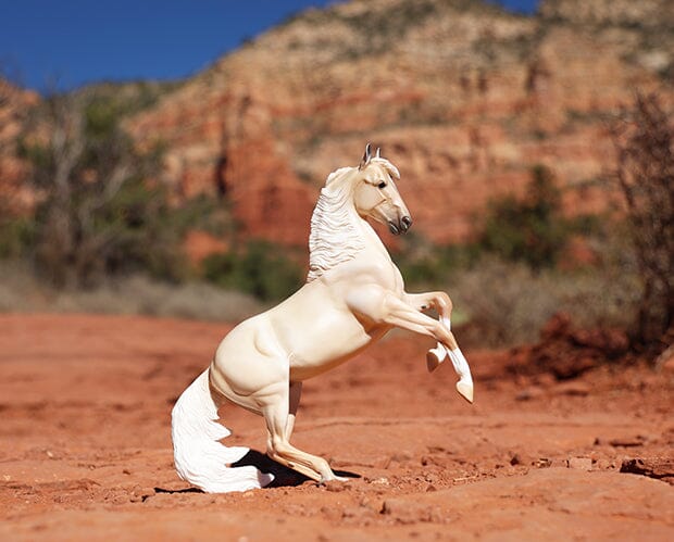 Cloud | 30th Anniversary Edition