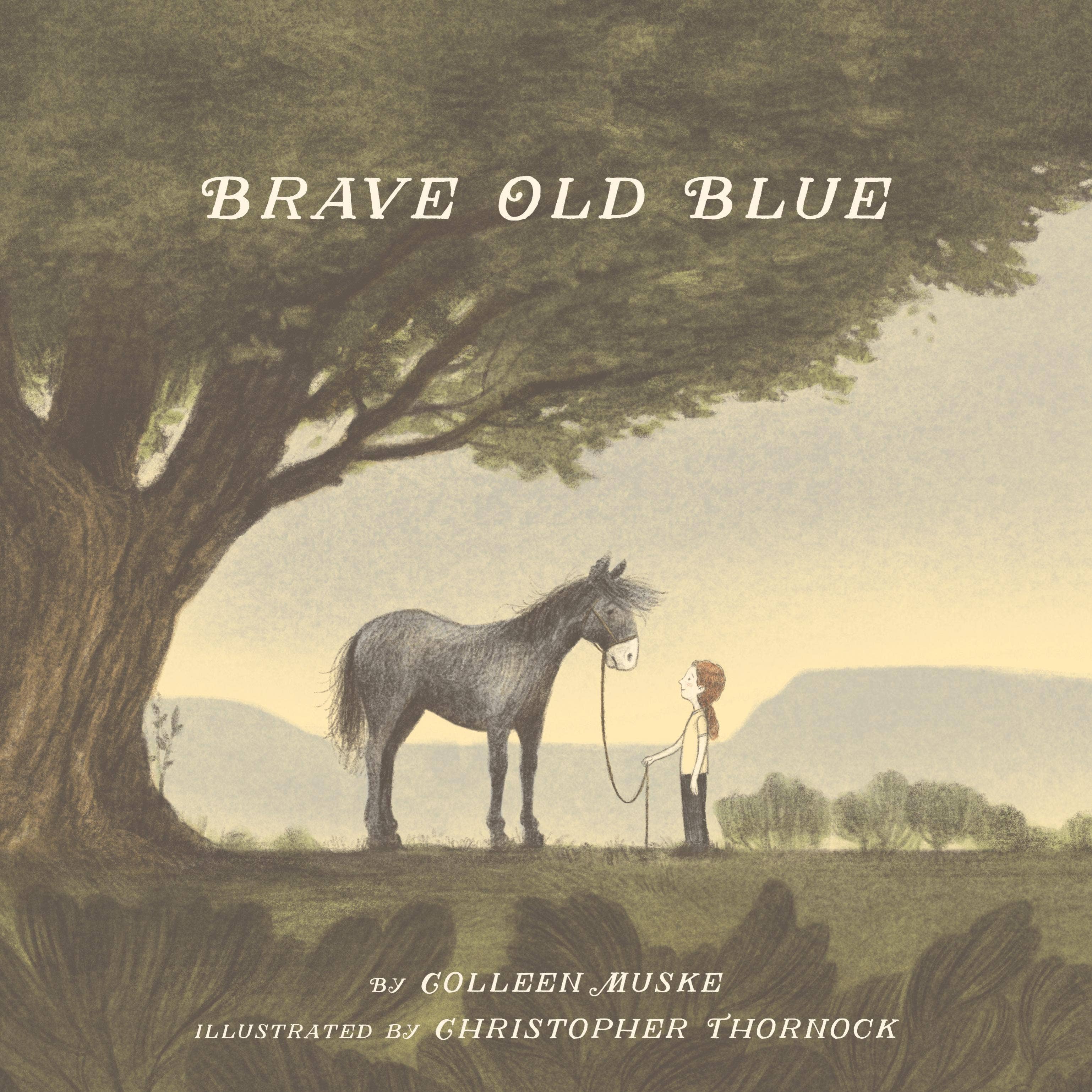 Brave Old Blue Picture Book