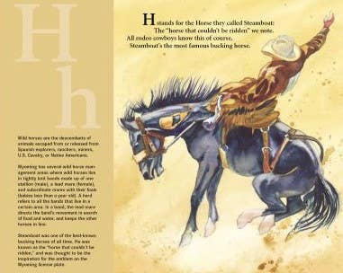 C is for Cowboy: A Wyoming Alphabet Picture Book