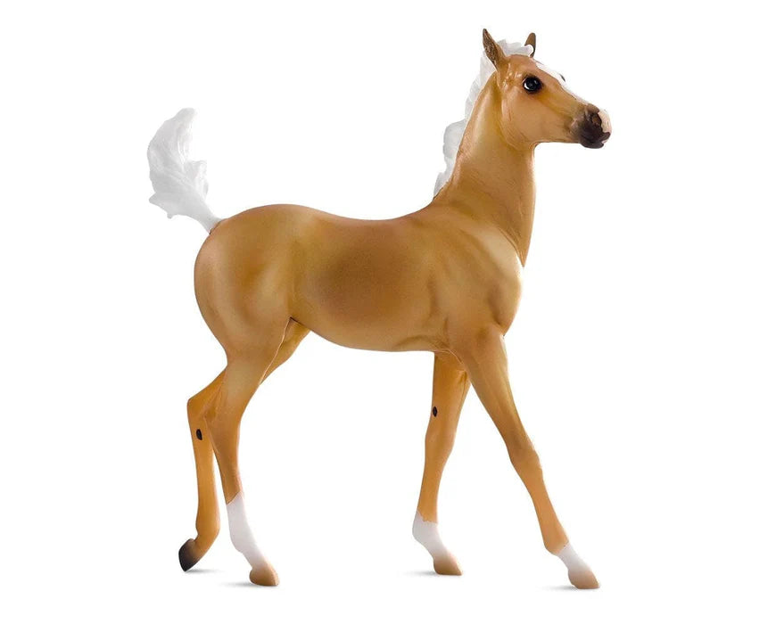 Ebony Shines & Charlize | Quarter Horse Set