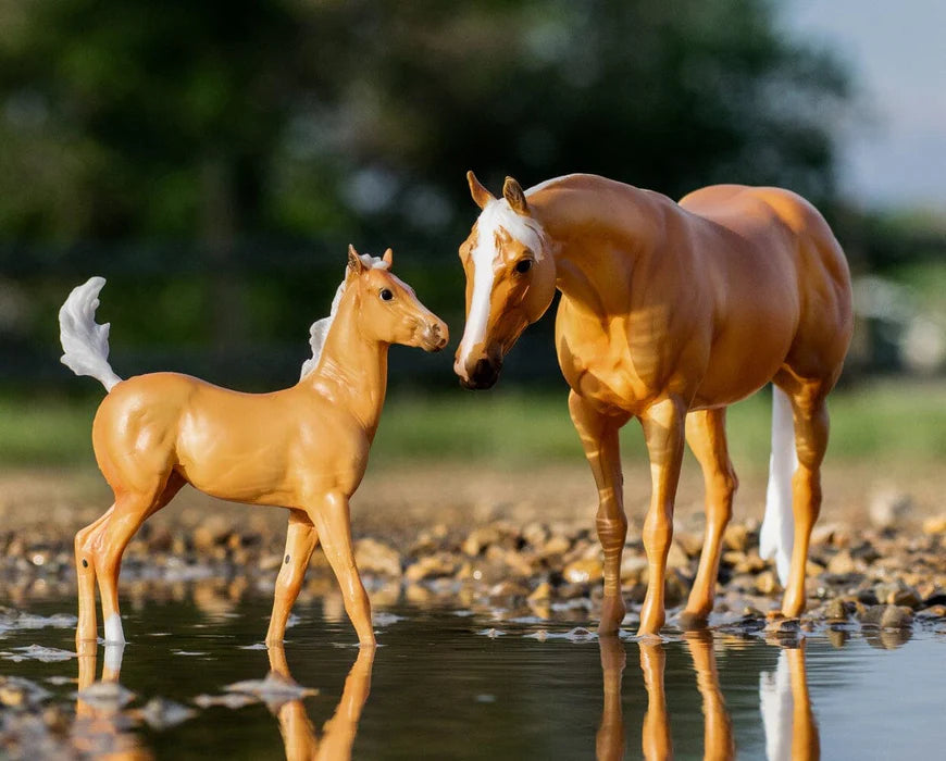 Ebony Shines & Charlize | Quarter Horse Set