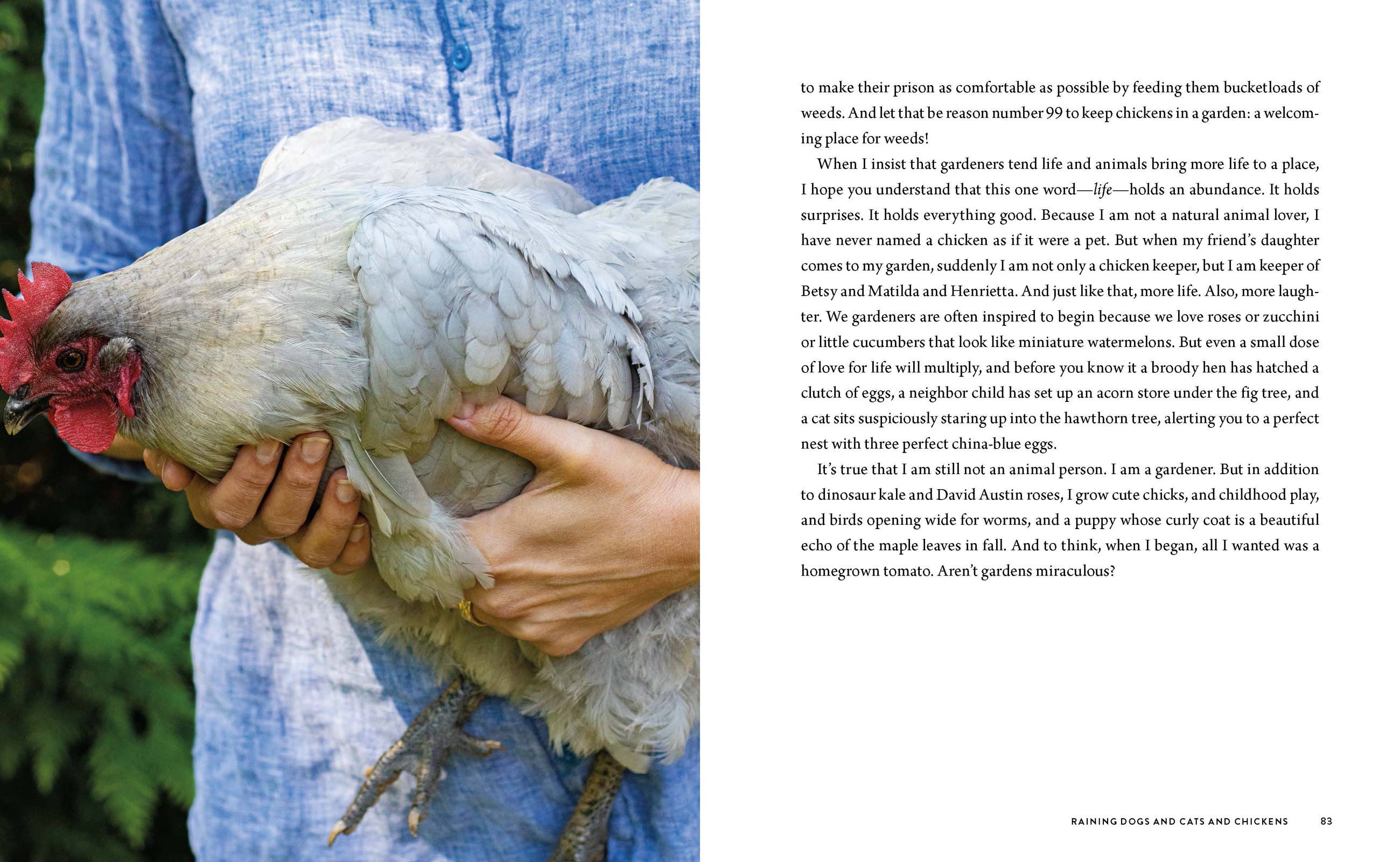 Seedtime and Harvest, Hardcover
