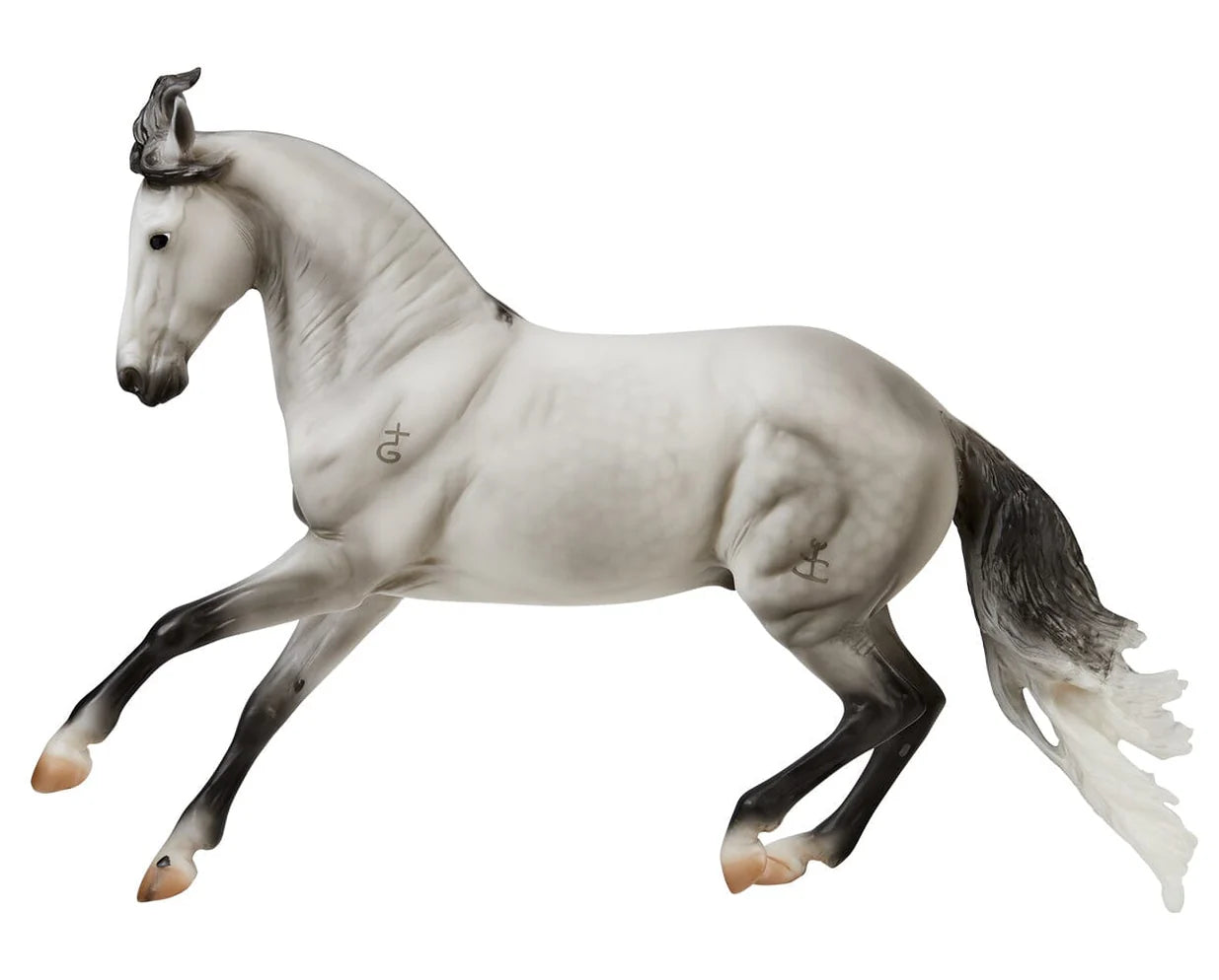 Jaguel Hilton Criollo Stallion