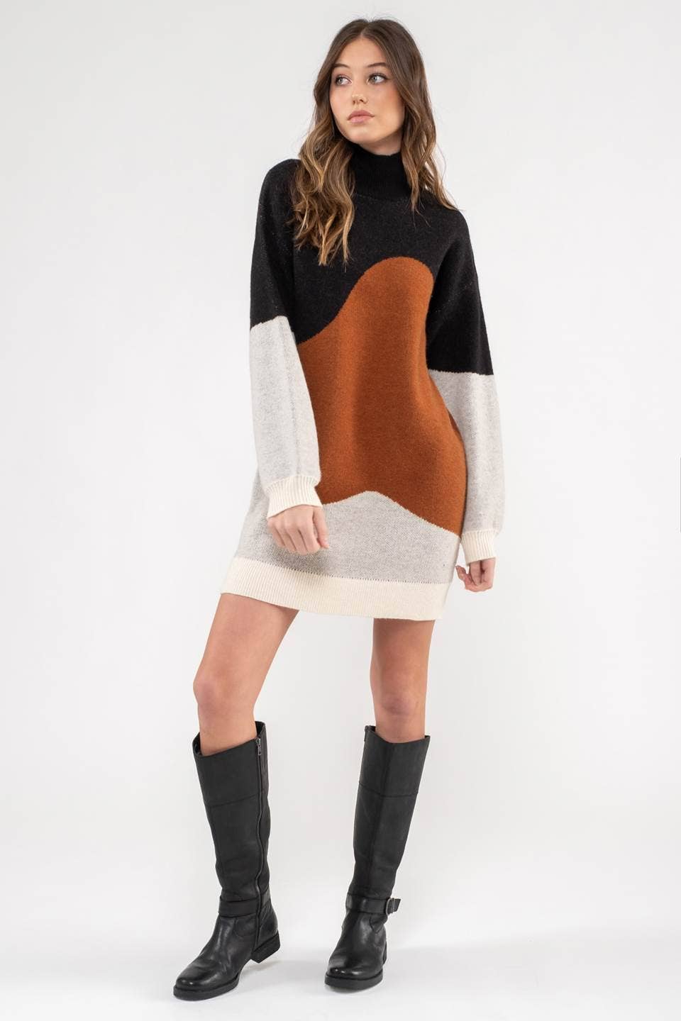 Hudson Sweater Dress