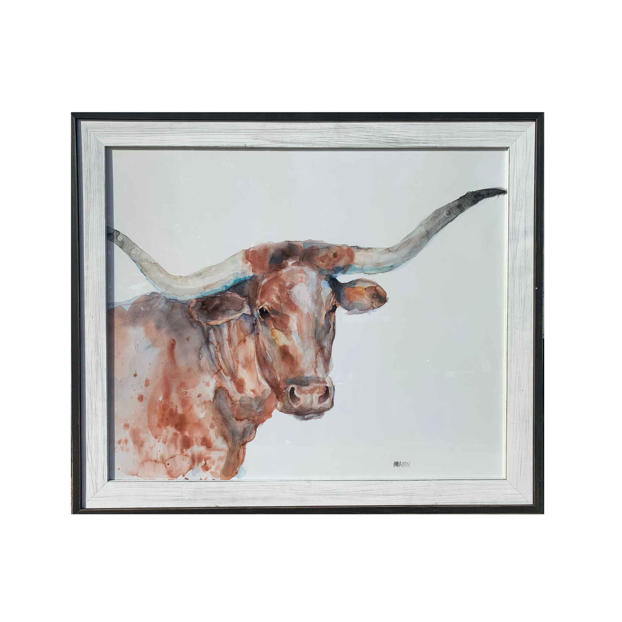 Longhorn Watercolor