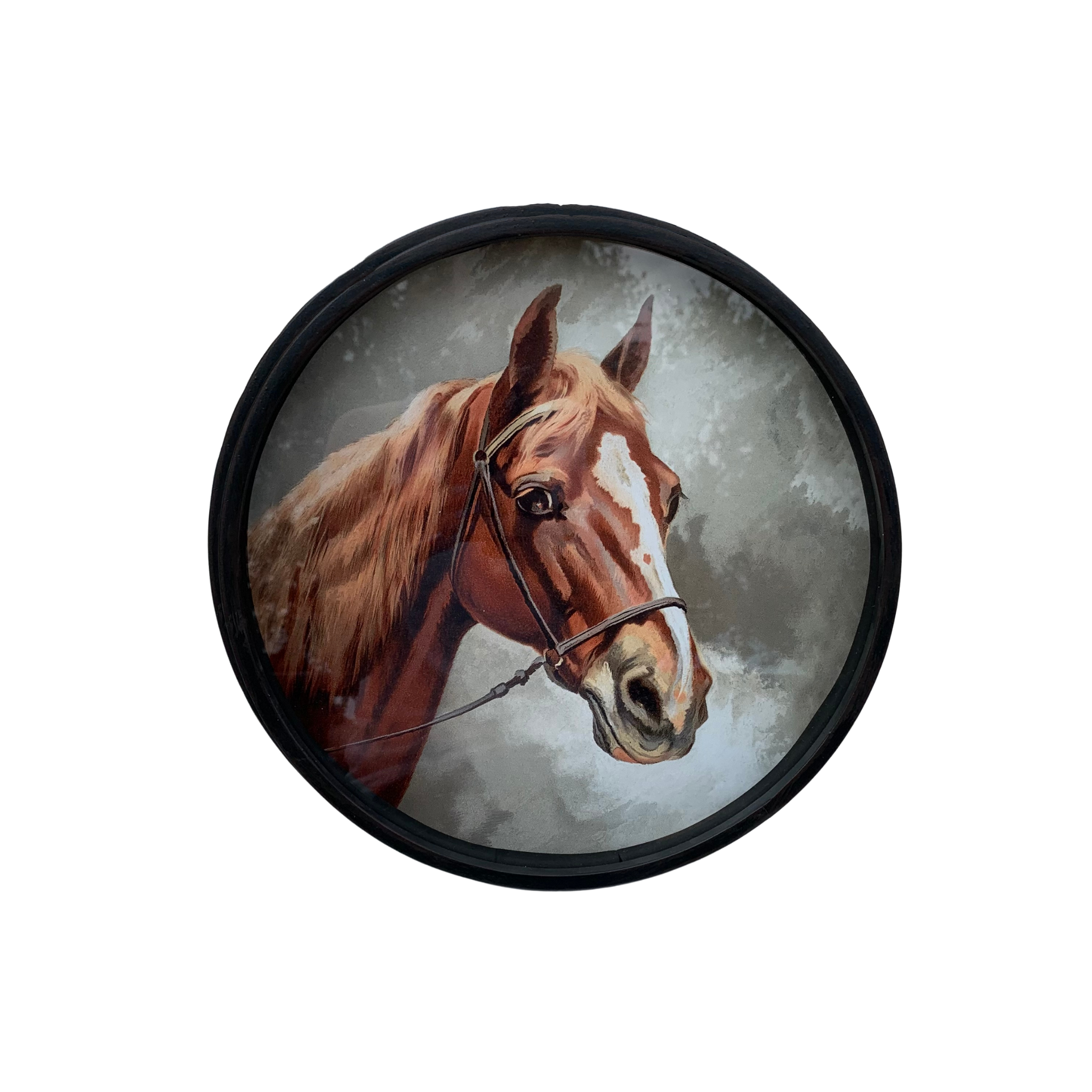Sorrel Bridle Horse Wall Decor