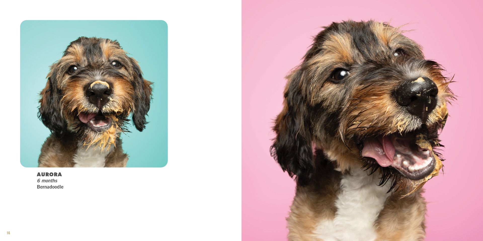 Peanut Butter Puppies