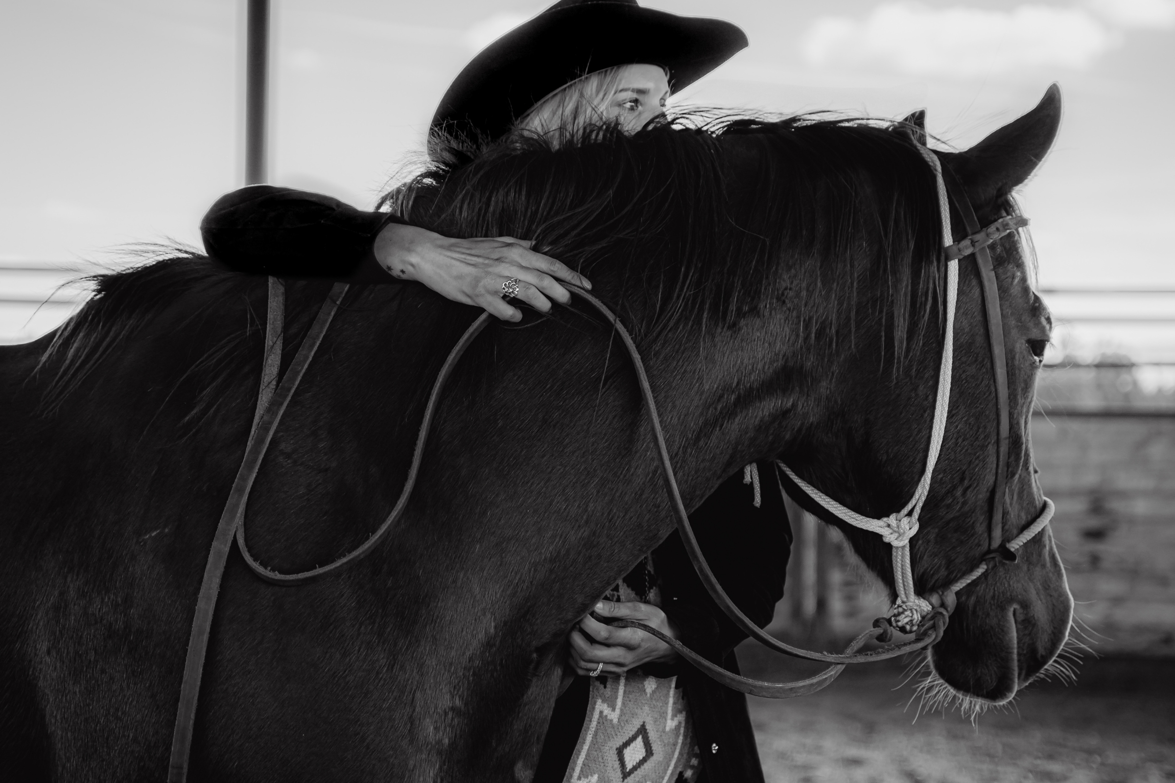 Beyond The Reins: Cares & Whoas x Healing Reins