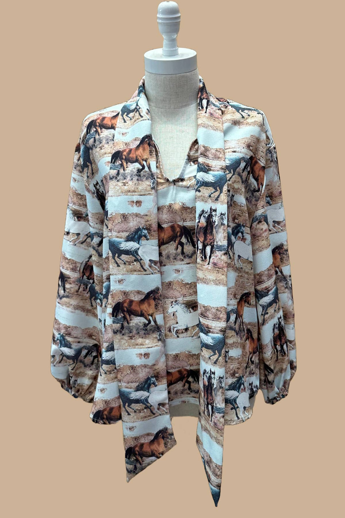 High Desert Stampede Top