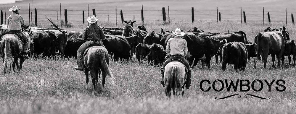 Cowboys and Rodeos