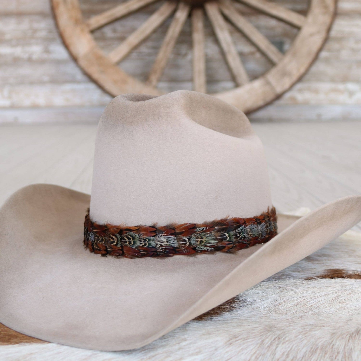 Brazons Western Feather Hat Band