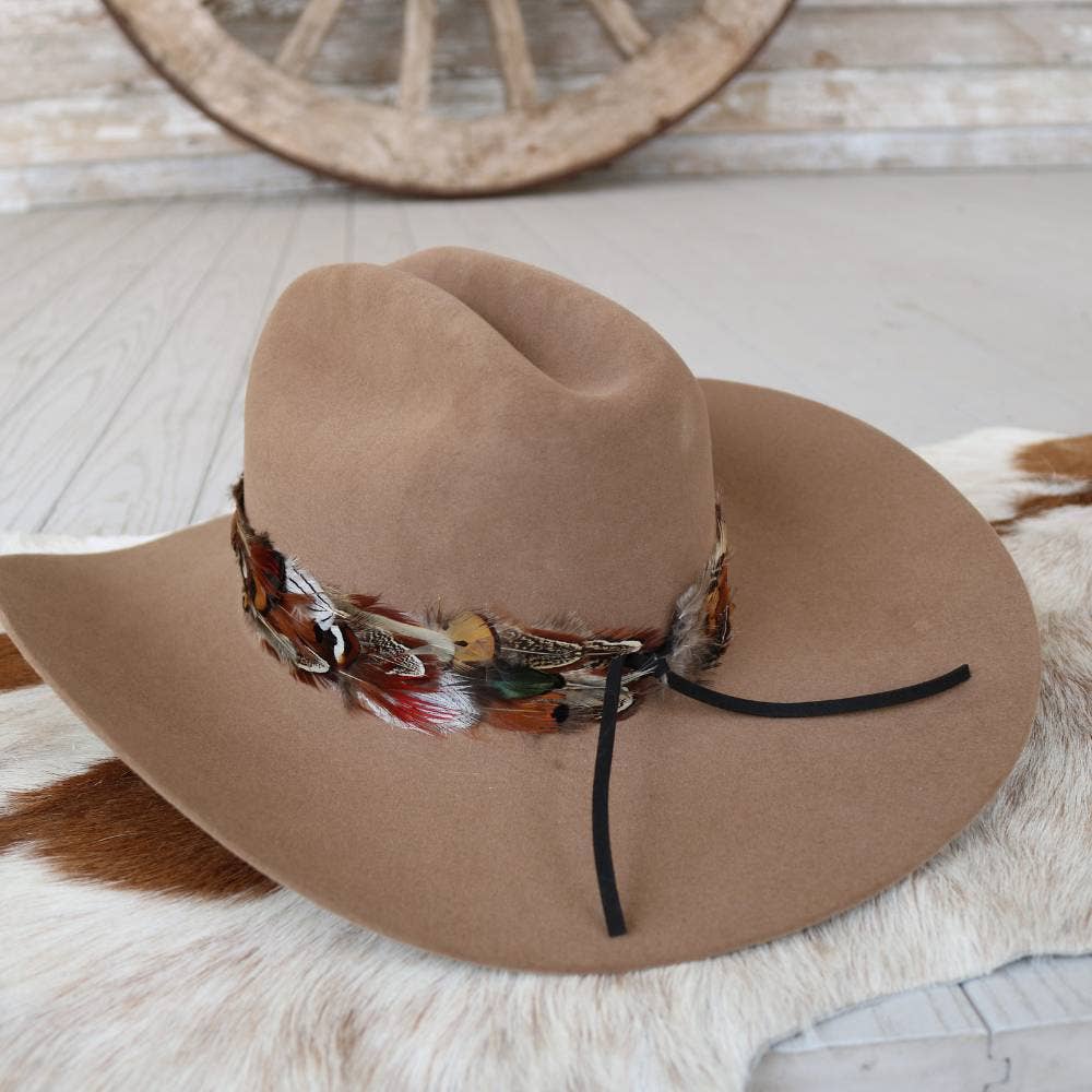 Vistoso II Western Feather Hat Band