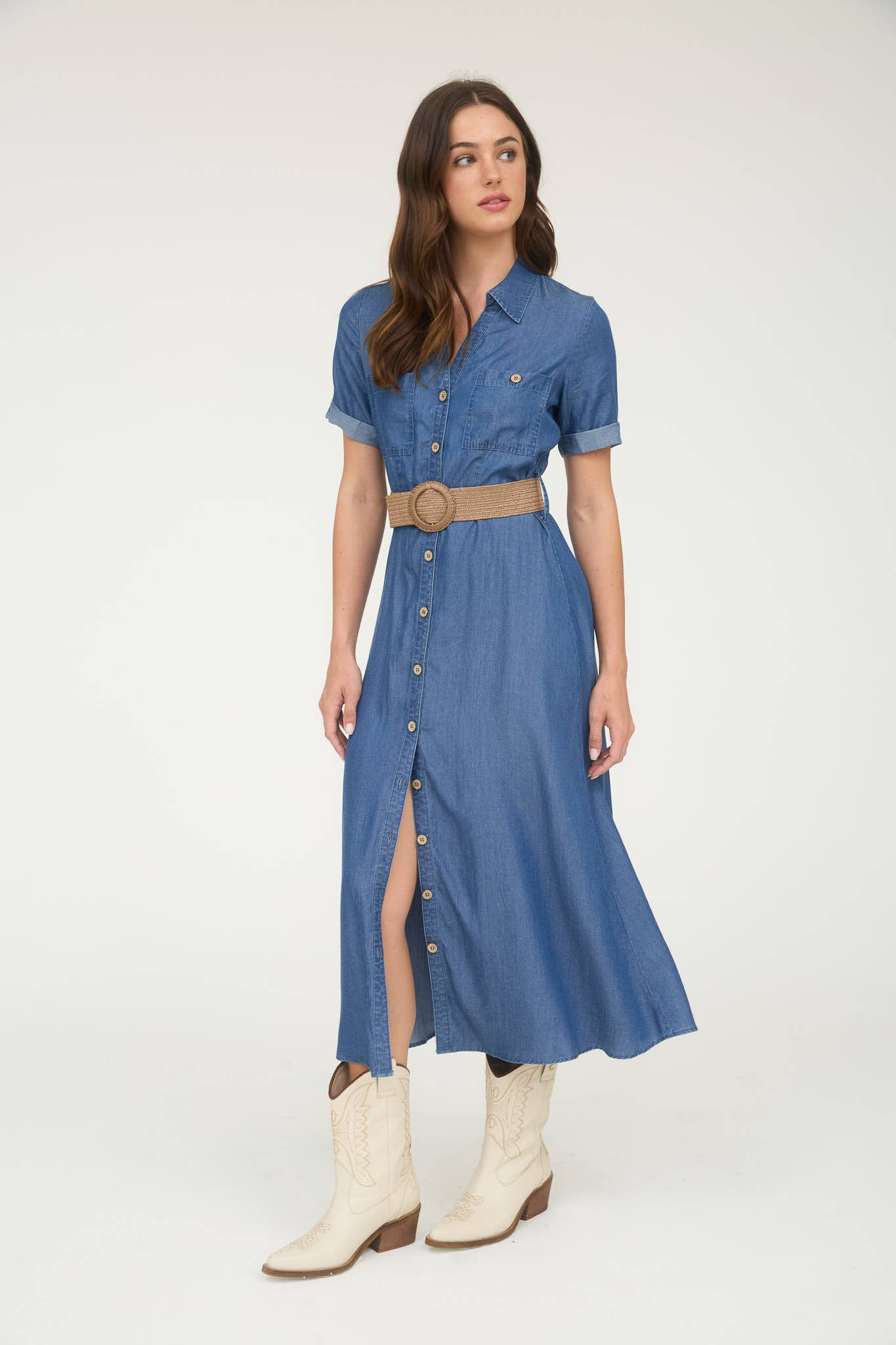 Ridgeway Denim Dress