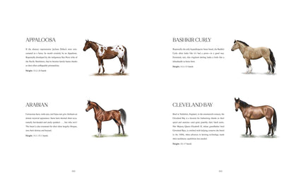 Horse Country