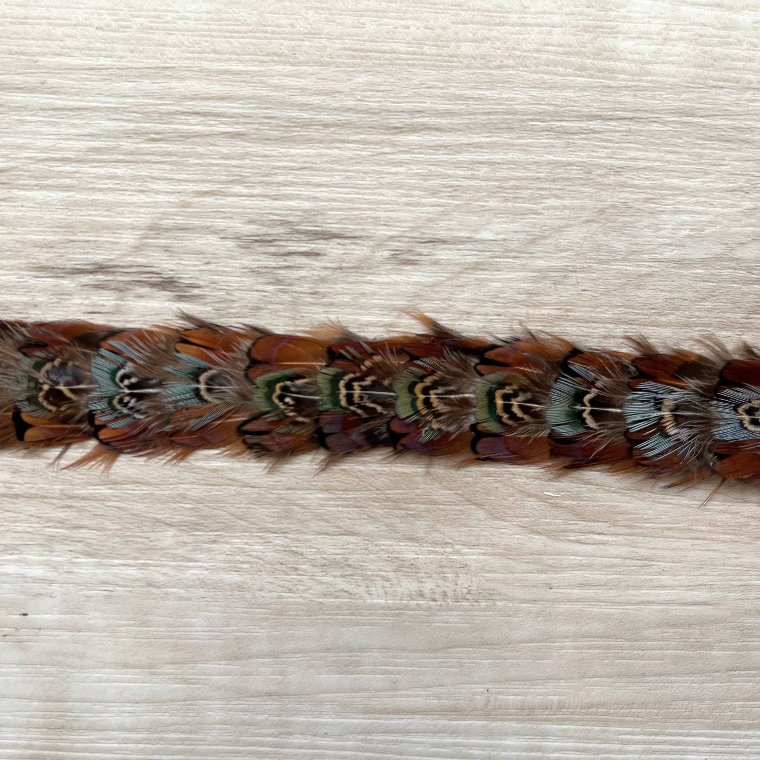 Brazons Western Feather Hat Band