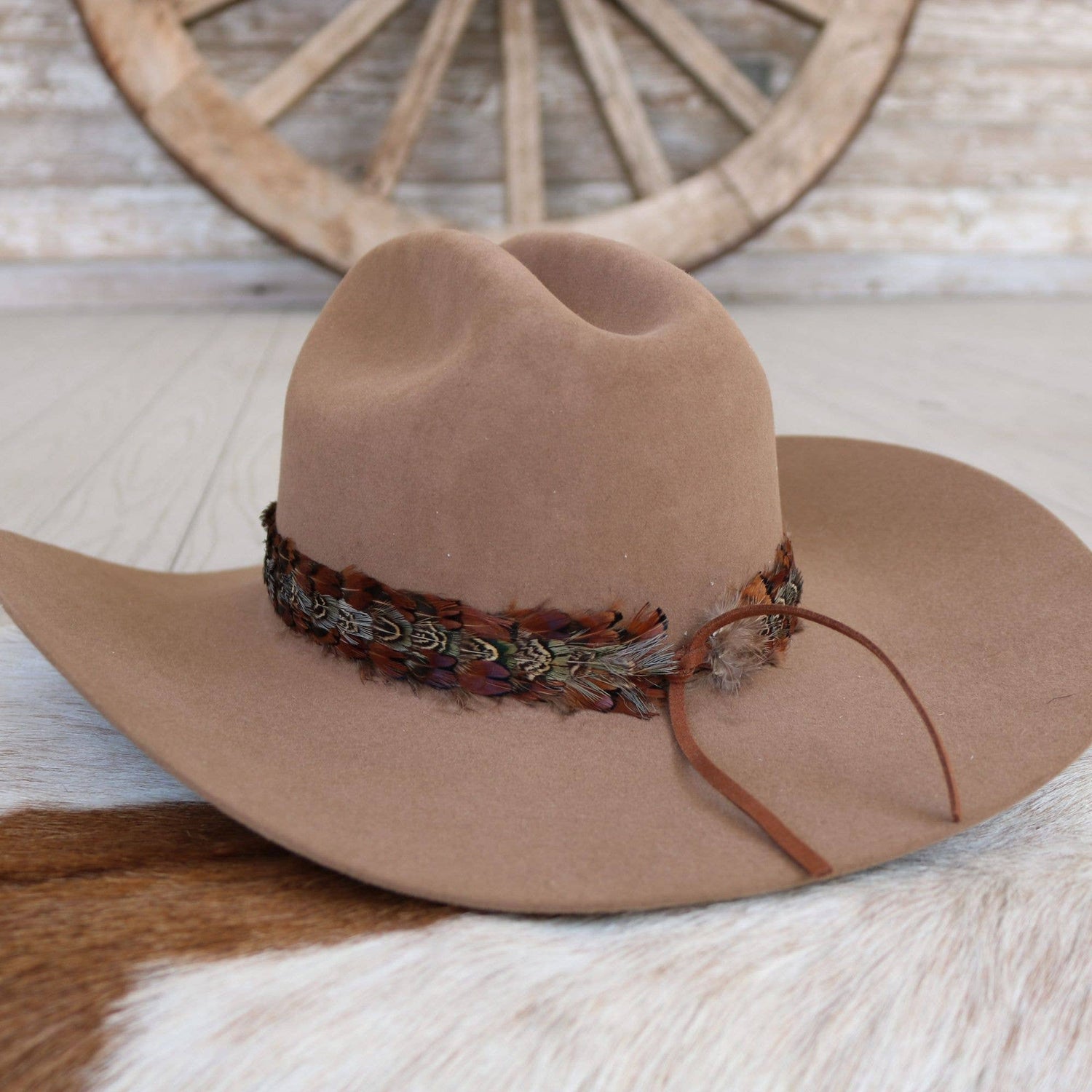 Brazons Western Feather Hat Band