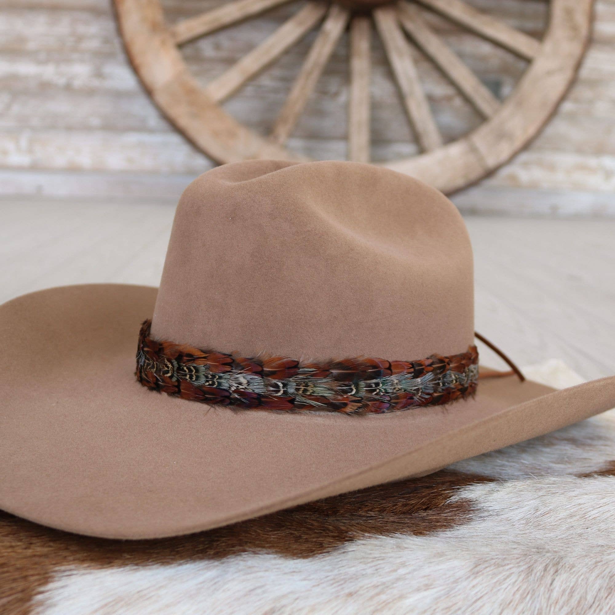 Brazons Western Feather Hat Band