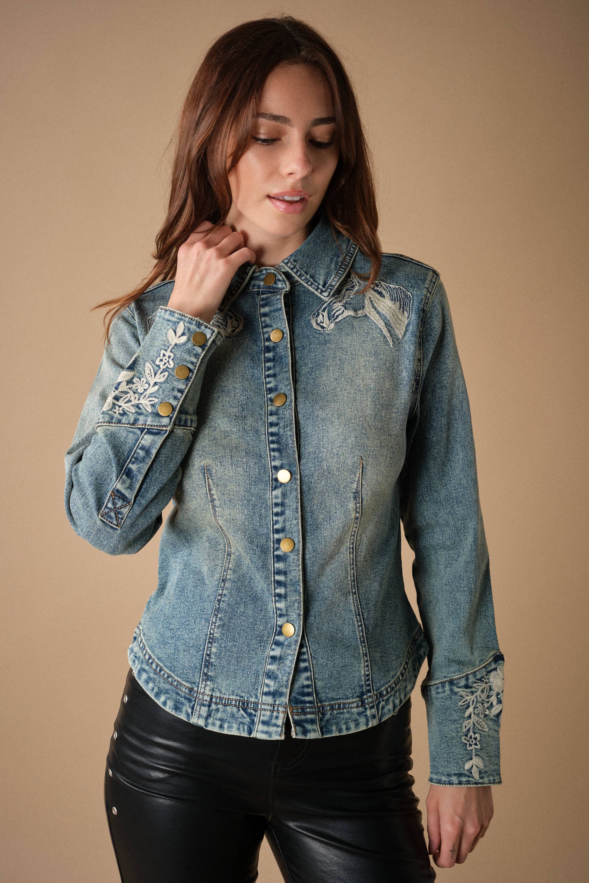 The High Country Embroidered Denim Shirt