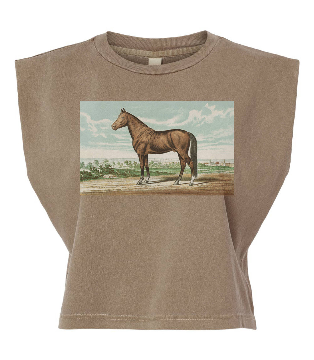 Horse Painting Boxy Tank