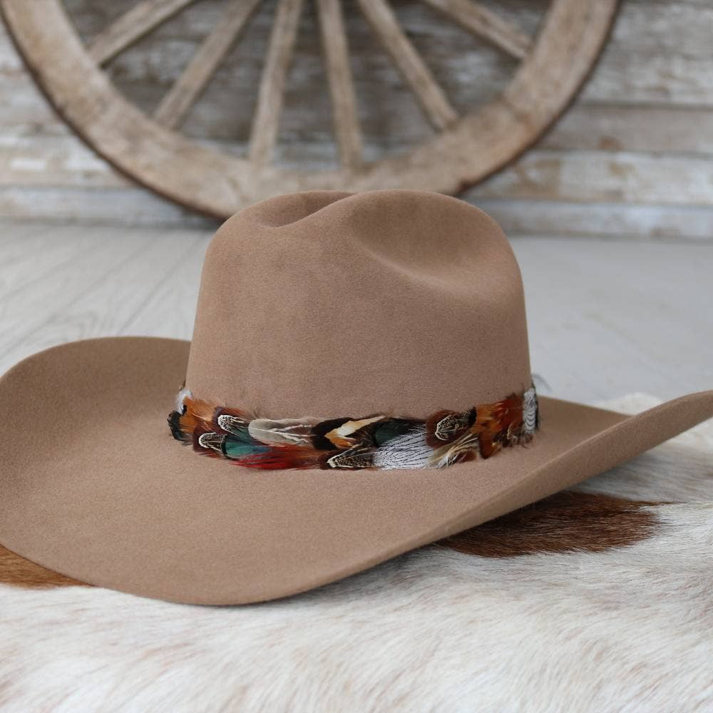Vistoso Western Feather Hat Band