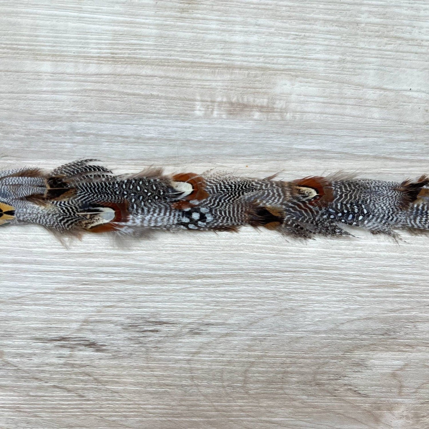 Spotted Eagle Western Feather Hat Band