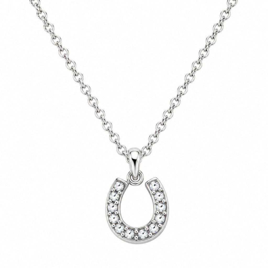 The Silver Rein Necklace