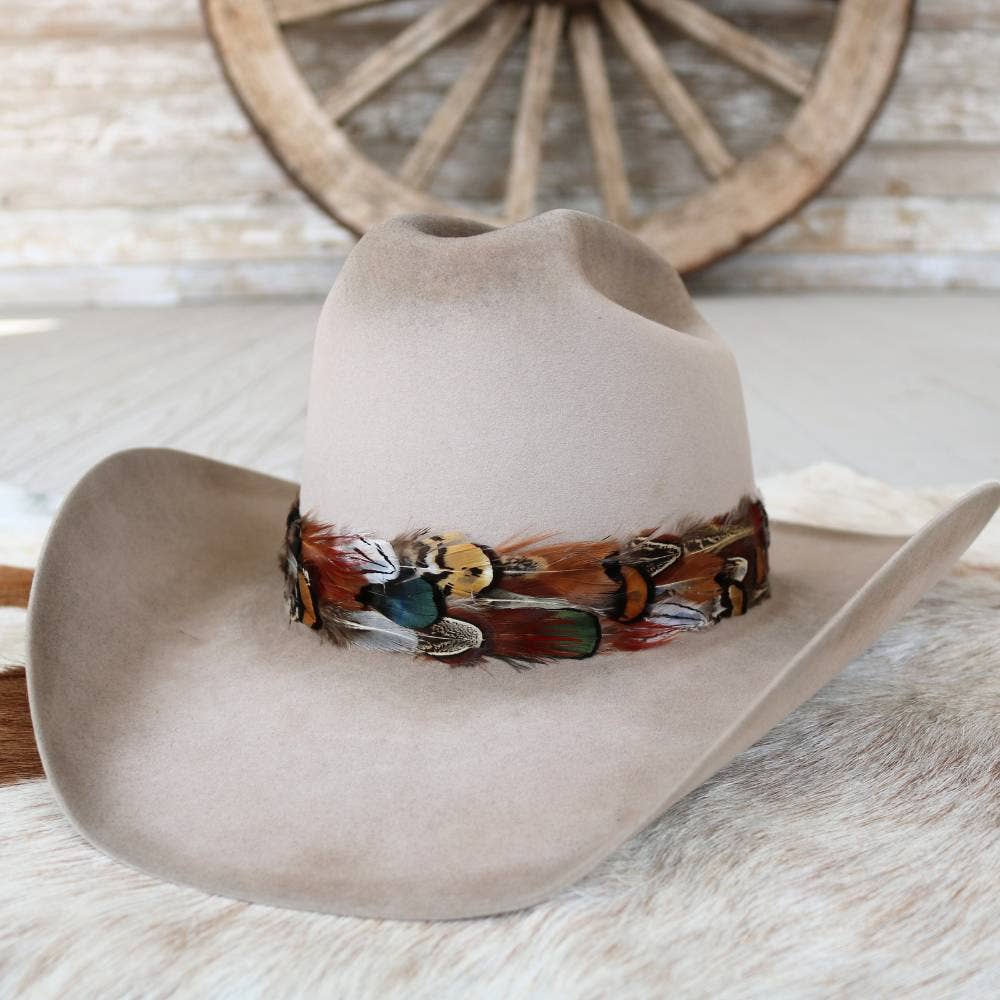 Vistoso II Western Feather Hat Band