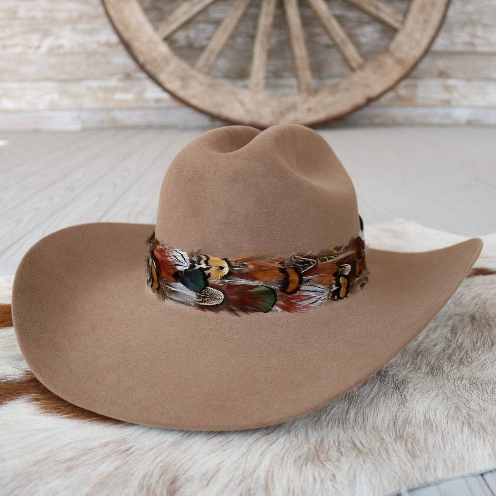 Vistoso II Western Feather Hat Band