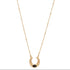 Gold necklace with a horseshoe black stone pendant on a white background