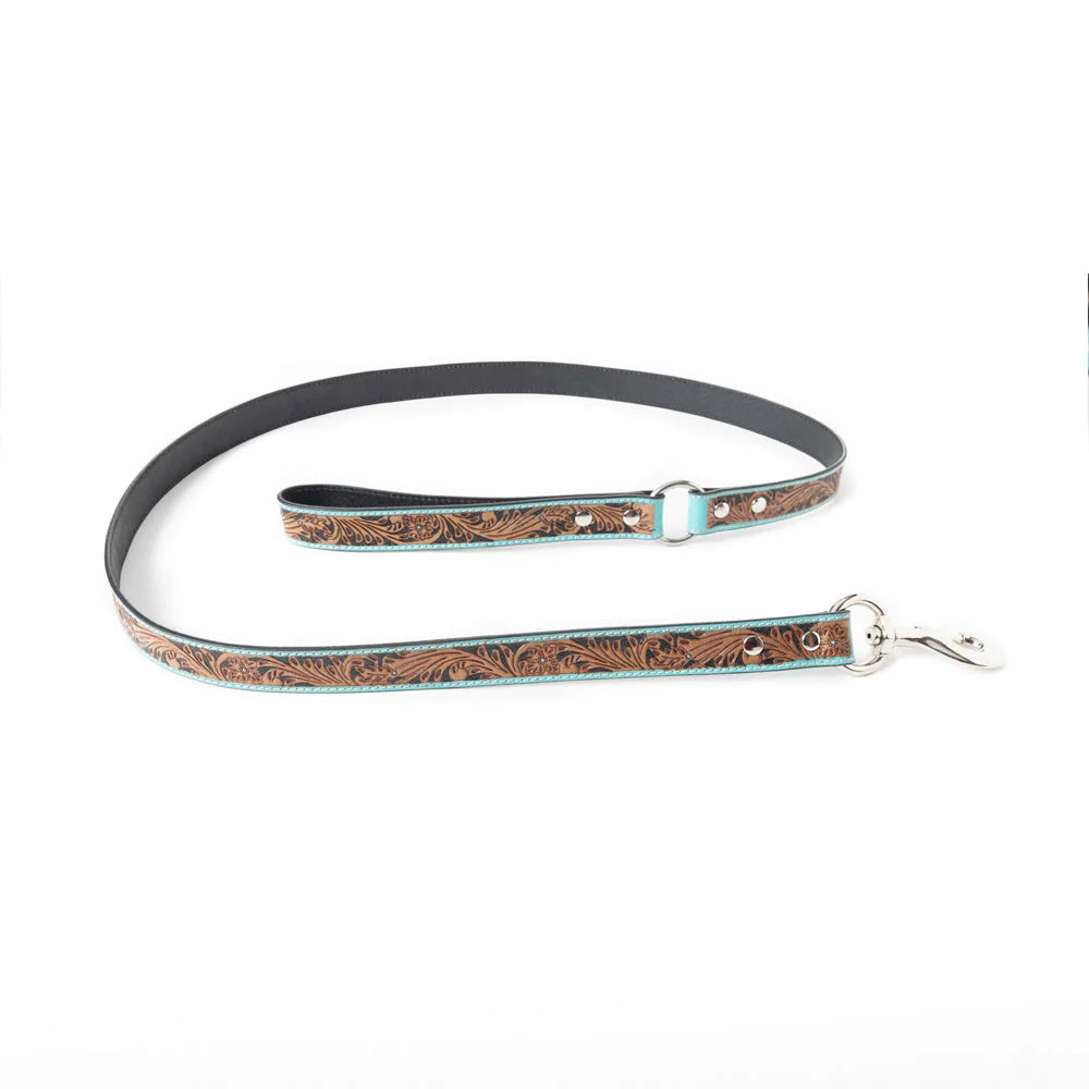 Luna Beam Dog Leash, Turquoise