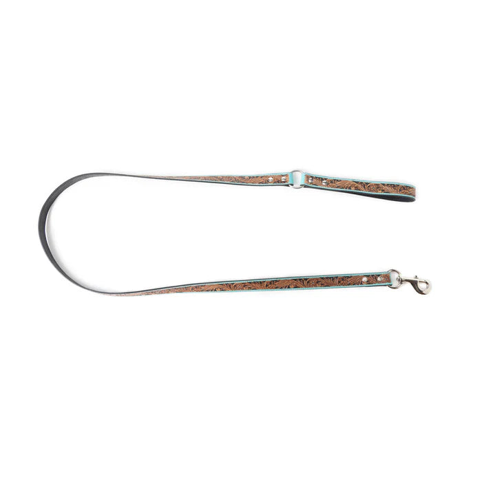 Luna Beam Dog Leash, Turquoise