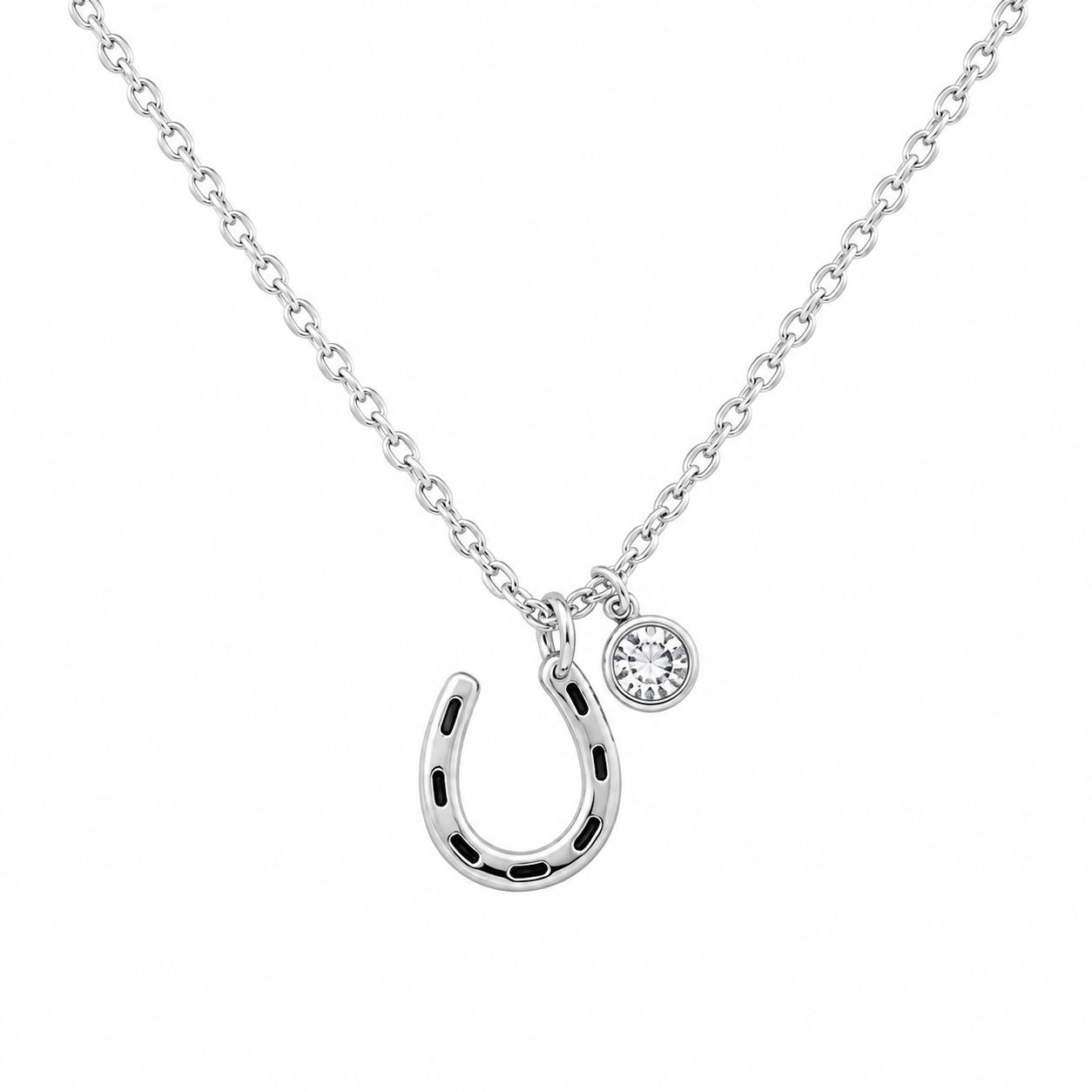 The Fortune &amp; Favor Necklace, Silver