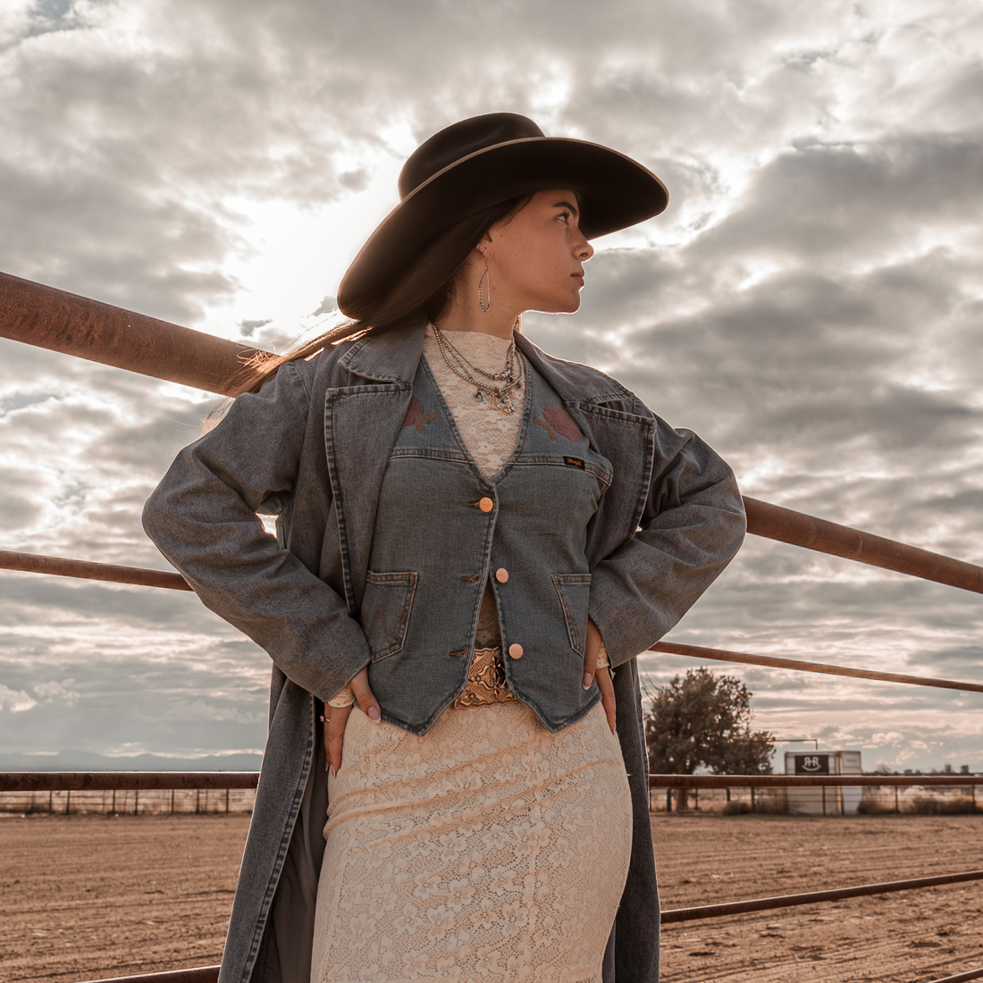 Ecru Fields Lace Top