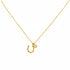 Gold necklace with a unique pendant on a black background