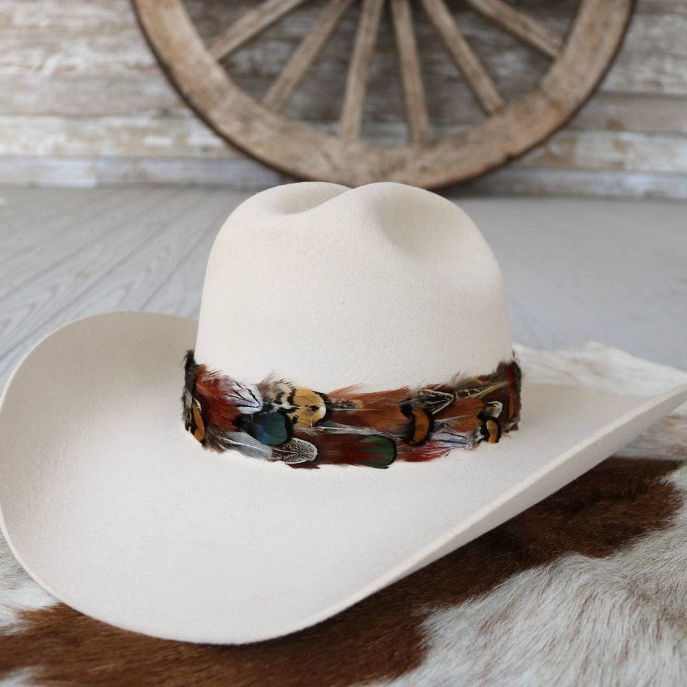 Vistoso II Western Feather Hat Band